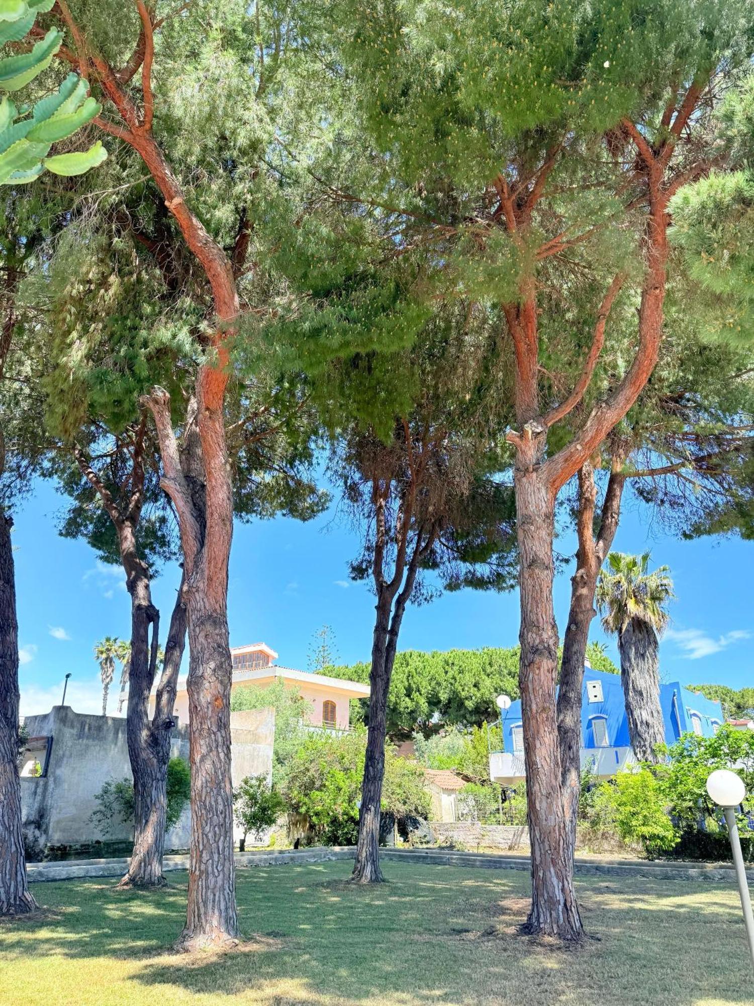 فونتاني بيانكي Nido Colorato B&B المظهر الخارجي الصورة